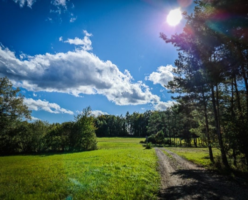 Sommer auf dem Dornig