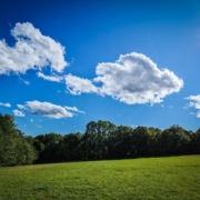 Sommer auf dem Dornig