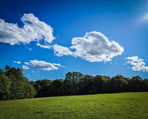 Sommer auf dem Dornig