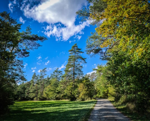 Sommer auf dem Dornig