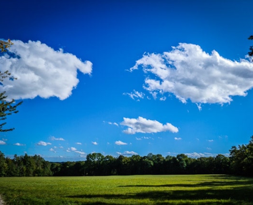 Weiter Himmel über dem Dornig