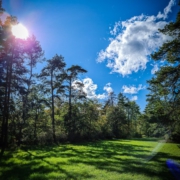 Sommer auf dem Dornig