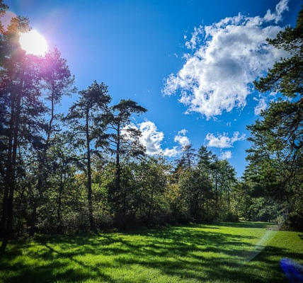 Sommer auf dem Dornig