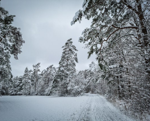 Winter auf dem Veitsberg