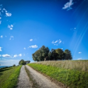 Sommer auf dem Veitsberg