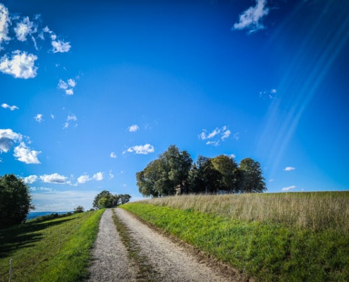 Sommer auf dem Veitsberg