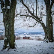 Winter auf dem Veitsberg