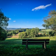 Ausblick vor Sträublingshof