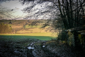 Waldrand über dem Mittelebrach-Tal