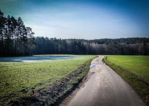 Weg über Freifläche