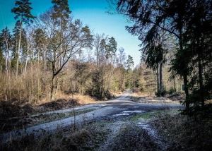 Große Waldwegkreuzung