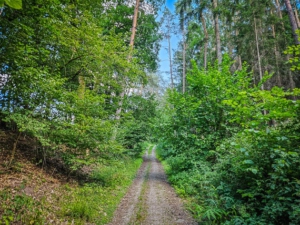 Durch Hohlweg leicht bergauf