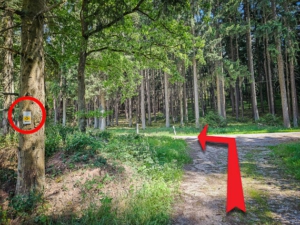 Auf schmale Straße abbiegen