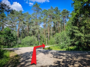 Am dieser Wegkreuzung die zweite rechts