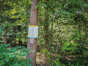 Großer Wegweiser an einer Einmündung, die Sie rechts liegen lassen