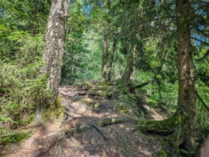 Auf felsigem Weg hoch zur Hohen Asslitz