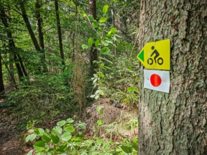 Pfad mit rotem Punkt und Radweg-Schild an Tümpel vorbei in Richtung Waldrand