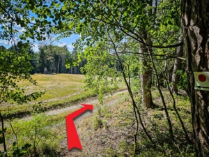Am Waldrand nach rechts abbiegen