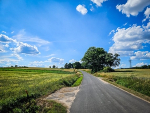 Dem geteerten Weg bergauf folgen