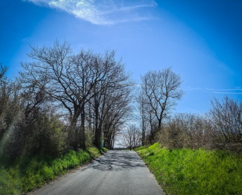 Hohe Asslitz wandern