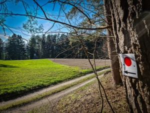 Am Waldrand nach rechts abbiegen