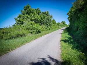 Weg durch Hecken bergauf