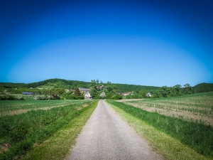 Geradeaus nach Erlabronn