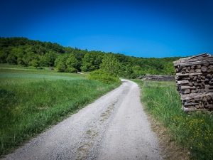 Bergauf Richtung Waldrand