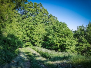 Der Rückweg beginnt